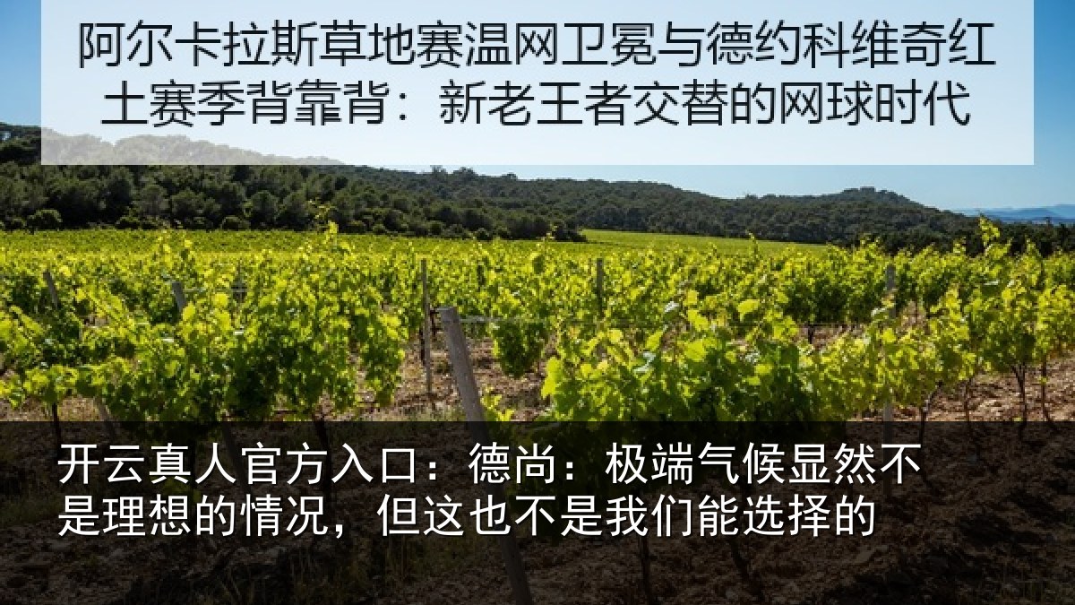 开云真人官方入口：德尚相关情况理想相关情况我们能选择的