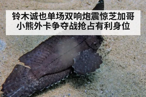 铃木诚也单场双响炮震惊芝加哥 小熊外卡争夺战抢占有利身位